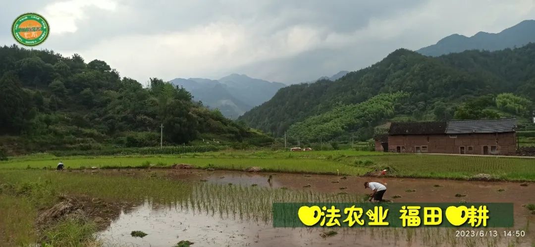 (●'◡'●)6月庆祝春播春种顺利完成！ 姜膏姜油 端午糯米 会员积分换购特惠 ，2023预售大米 会员折上折 6.18折