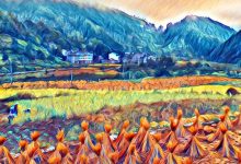 *╭?( ˙o˙)╯?*七不水稻秋收 明安農業田園！我們是不是該知足 珍惜一切 就算沒有擁有....-七不姜 生姜養生網-明德CSA生態姜園&明安農業