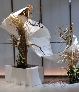 新品发布 姜茶油是一种具有保湿、滋润、抗氧化和抗炎等功效的天然植物油，可应用于护肤和美容。