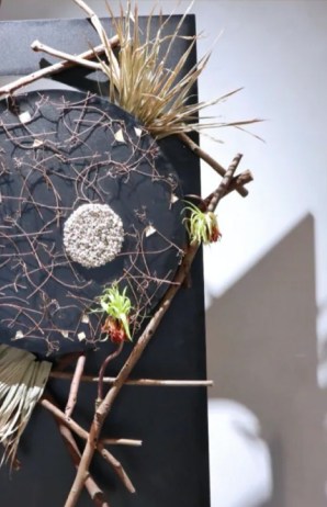 新品发布 姜茶油是一种具有保湿、滋润、抗氧化和抗炎等功效的天然植物油，可应用于护肤和美容。