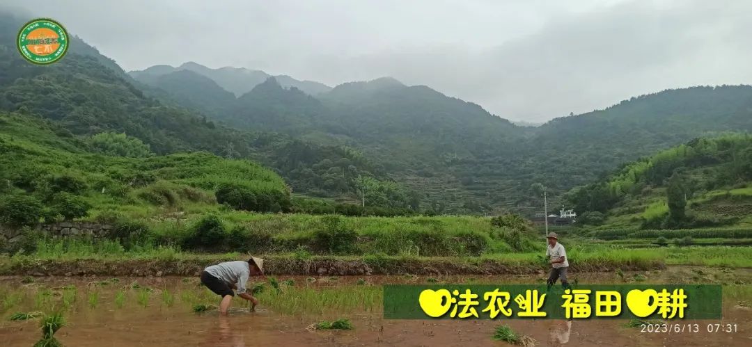 (●'◡'●)6月庆祝春播春种顺利完成！ 姜膏姜油 端午糯米 会员积分换购特惠 ，2023预售大米 会员折上折 6.18折