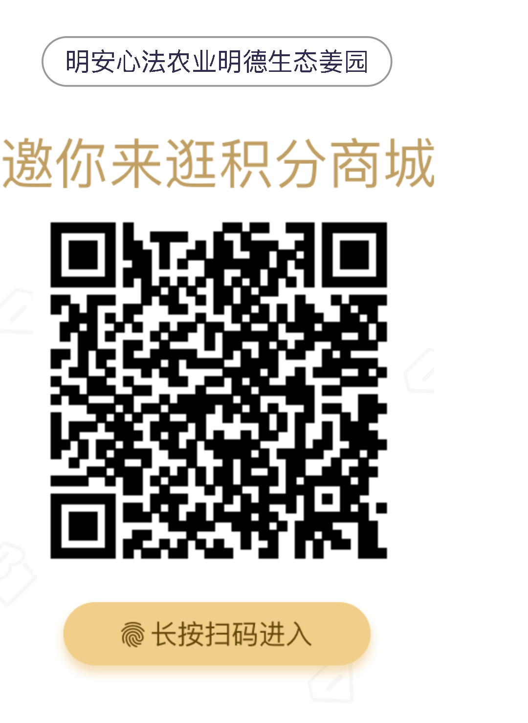 七不姜小黄姜 礼品卡 优惠劵 会员申请 折扣 积分2022年9月