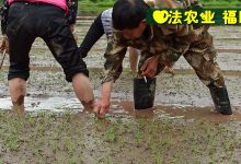 宮頸癌前病變案例 周紅艷48歲 2020年5月開始每天噴兩次姜粉,四個月后檢查正常！-七不姜 生姜養生網-明德CSA生態姜園&明安農業