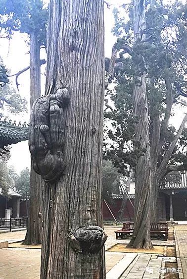 原始点精选案例、文章分类汇编(2021,9) 原始点精选案例、文章分类汇编(2021,9)