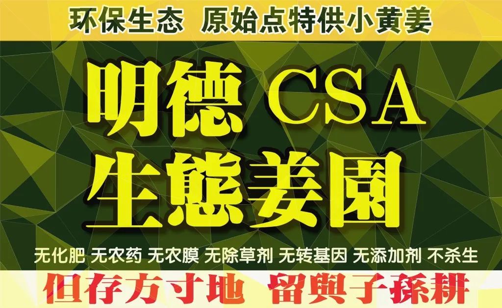 周末特惠限时 姜膏 姜油 姜茶油 及介绍 2023年9月