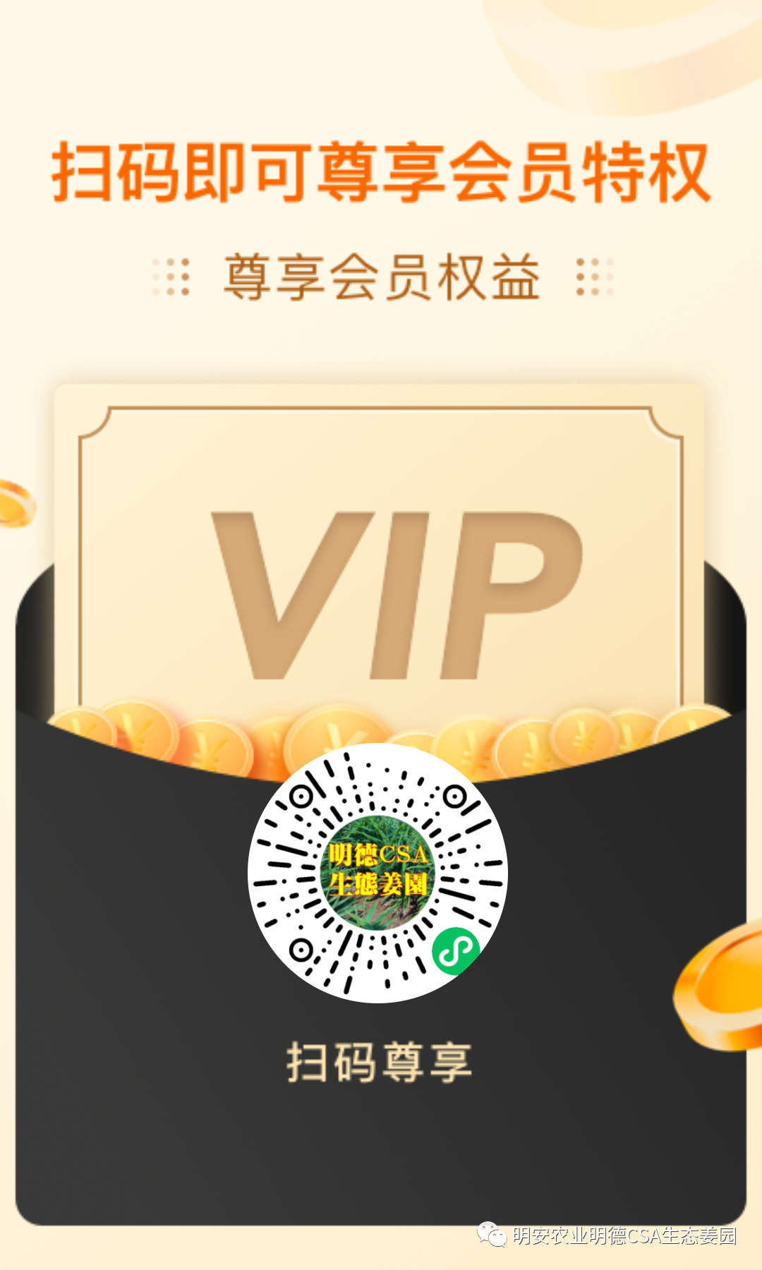 七不姜3月三八节&315感恩回馈！ 三个优惠 ！ 再送世界名品欧洲邮票表时尚时装表STAMPS CASIO表 派克笔 777