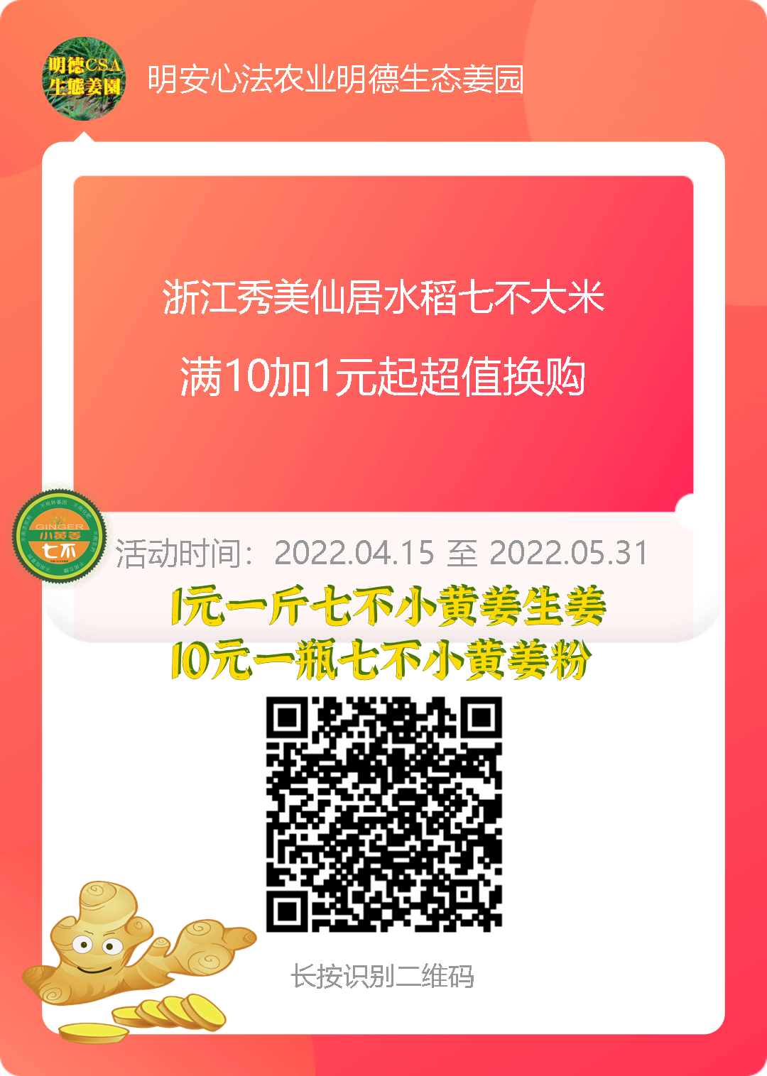 明安农业五月种七不水稻了。六月端午别忘吃粽子。买糯米要七不种植的...自然生态超越有机！七不姜优惠发劵