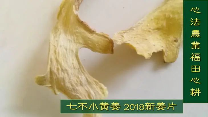 2022年小黄姜春耕开播 姜片姜粉姜丸防疫 安家必备大特惠